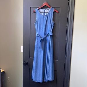 Spirit Denim Dress